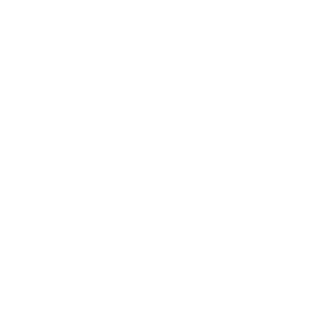 logo gs