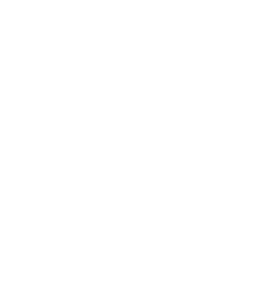 logo pg