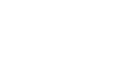 logo 동아ST