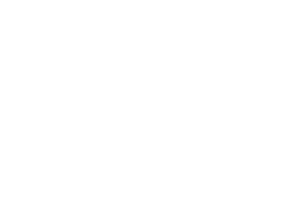 logo 비야디