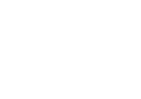 logo 카이스트